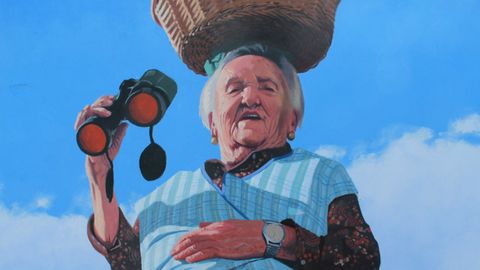 Unha das superavoas galegas pintadas nun mural polo artista Yoseba MP.