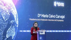 La presidenta de la Federaci�n Asturiana de Empresarios (FADE), Mar�a Calvo