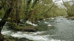 Un tramo del r�o Ferreira, junto al que discurrir� la nueva senda fluvial