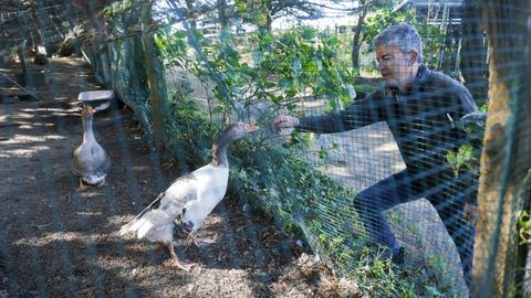 Algunas de las aves de Belelle. 