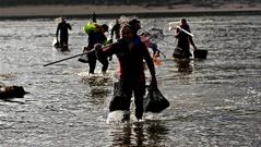 Las mariscadoras, ayer en Camari�as.