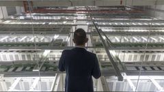 En el b�nker del Gai�s. El subdirector de Tecnolox�as da Informaci�n de la Conseller�a de Sanidade observa �o coraz�n dixital de Galicia�, en un subterr�neo del Gai�s, donde el Sergas almacena millones de datos de los gallegos.