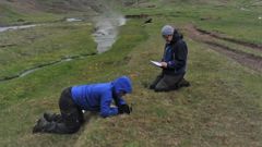 Un estudio de la Universidad revela que las plantas pueden adaptarse m�s r�pido de lo previsto al cambio climatico
