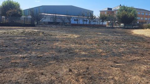 El fuego quemó también la hierba seca de un solar contiguo al colegio A Gándara de Monforte