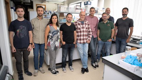 Identificados nuevos genes del coronavirus