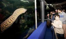 El acuario de O Grove ya sufri� una remodelaci�n antes de ser inaugurado.