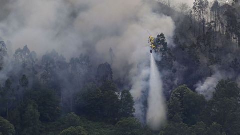 Vista del incendio forestal en la localidad asturiana de Pe�aflor (Grado)