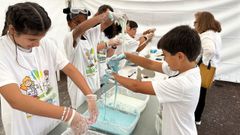 Nueva edici�n de Cullerciencia en O Burgo