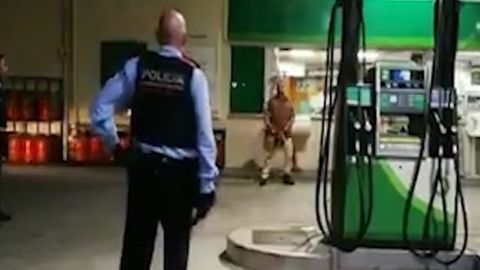 Amenaza durante dos horas con una motosierra a nueve patrullas