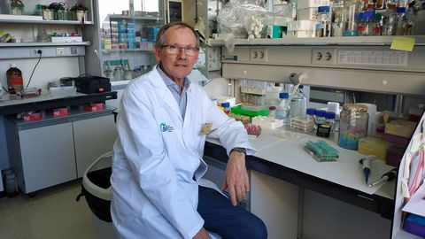 Francisco Parra, catedrtico de Bioqumica y director del Instituto Universitario de Biotecnologa de Asturias