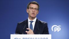 El presidente del PP, Alberto N��ez Feijoo.