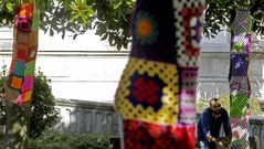 Visten con lana 34 �rboles en A Coru�a