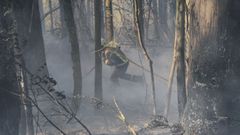 Imagen de archivo de las labores de extinci�n de un incendio en Oza en el 2019