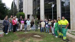 Plantacin de un roble en el campus de Ourense