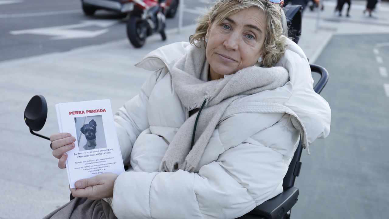 La angustia de una mujer en silla de ruedas en busca de su perrita