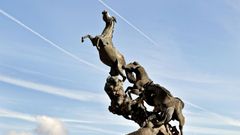 La fauna escult�rica
