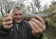 Los pescadores acudieron ayer a los r�os -en la imagen, el Anll�ns- para estrenar temporada. 