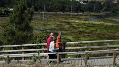 Imagen de archivo del actual paseo en el entorno del r�o Coro�o