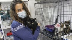Yadira Tenreiro achaca el aumento del inter�s por los gatos a que no hay que sacarlos a pasear como a los perros