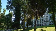 Algunos de los �rboles que en su d�a pertenecieron al jard�n Bot�nico de la Universidad de Oviedo, hoy desaparecido tras ser integrado parcialmente en el Campo San Francisco.