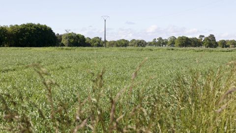 Imagen de archivo de una pradera