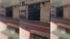 Local nocturno en la calle Alfredo Garc�a Al�n, en Pontevedra, denunciado por vecinos del entorno�por incum,plir una orden de cese de la actividad