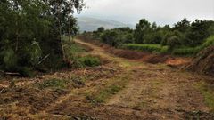 Los trabajos de desbroce se llevan a cabo en varias pistas y otros lugares donde se acumula maleza 