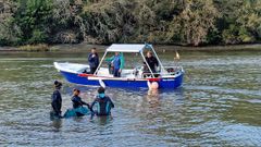 Operativo para rescatar a un delfn que var en el molino de mareas de As Aceas