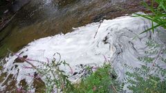 Aspecto del Cabe, en la ma�ana de ayer, en la zona de Vilanova