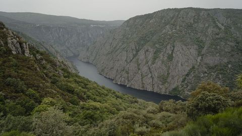 Caones del Sil en Parada de Sil