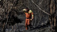  Un bombero vigila las zonas an humeantes y con riesgo de incendio en Asturias