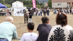 Imaxe da edici�n do concurso cabalar