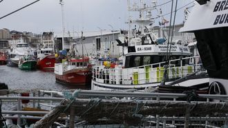 Pesqueros amarrados por el temporal en el puerto de Burela el 29 de enero del 2025