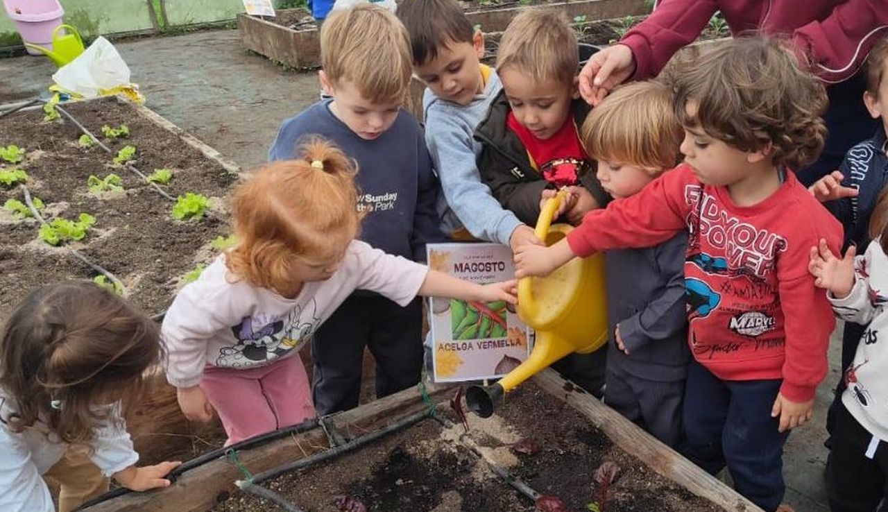 Voz Natura marca el camino para reducir el consumo navideño