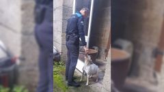 El inspector jefe de la Polica Local de Caldas, con la perra, que ya fue recogida por personal del CAAN de la Diputacin de Pontevedra