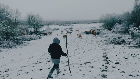 Un ganadero cuidando de sus vacas en medio de la nevada 