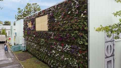 El jard�n vertical de EDP en la FIDMA  