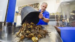 Alfonso Cacheda vendi� las primeras n�coras de la temporada este jueves en Portonovo