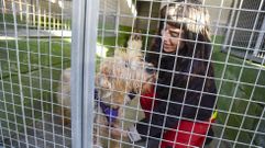 La protectora gestiona un refugio de animales en Campa con el que colaboran sesenta voluntarios.