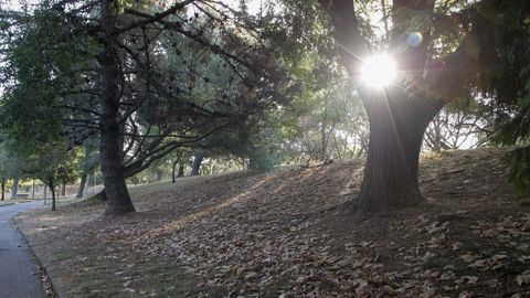  Vista del parque de Moreda, en Gijn, este martes, cubierto de hojas secas, que anuncian la llegada prematura del otoo, que oficialmente comienza el prximo 21 de septiembre