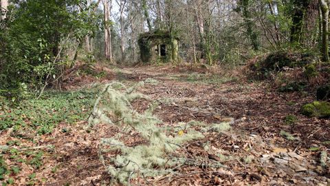Un recorrido por la aldea abandonada de Mato, en Noia