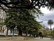 La intervenci�n en el Cant�n no podr� comenzar hasta que concluyan las obras del saneamiento.