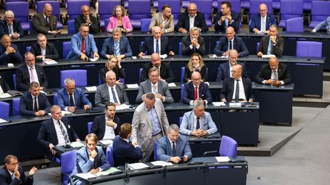 Bancada de la AfD en la C�mara Baja alemana