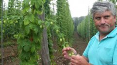 La sequ�a pone a prueba la resistencia del l�pulo gallego