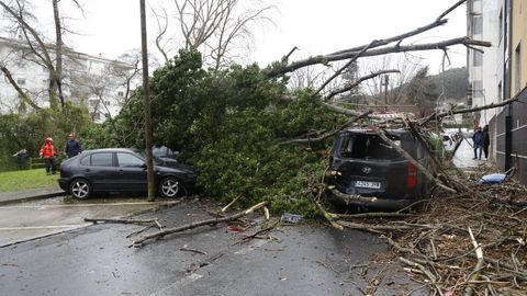 Cae un rbol de grandes dimensiones sobre cuatro coches en Vilaboa, Culleredo