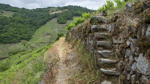 Escalones de acceso a un viedo