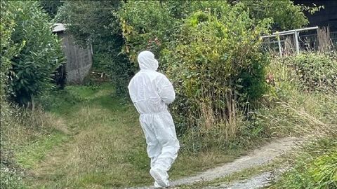 Miembros del Seprona se protegieron para entrar en el criadero de Oza, donde aparecieron numerosos animales muertos y donde se cree que hay una plaga de pulgas