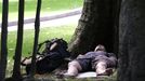 Un joven descansa a la sombra del calor entre árboles del Campo de San Francisco en Oviedo