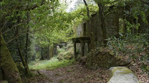 Una aldea entera, gratis. Las 12 casas de A Barca, en el concello ourensano de Cortegada, están más cerca de volver a ser habitadas