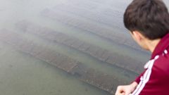 En la imagen, las estructuras utilizadas sumergidas en aguas de Barallobre